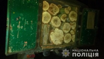 На Днепропетровщине двое мужчин незаконно рубили лес и вывозили древесину на автомобиле, - ФОТО