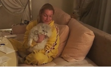 Неужели все так плохо: Волочкова продала любимого кота дочери из-за долгов по коммуналке