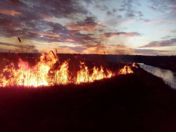 На Николаевщине горит камыш: сообщения о пожарах поступают из разных районов области
