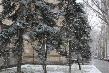 Дождались: николаевцы встречают первый снег, - ФОТО