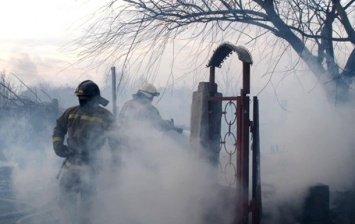 В Одессе загорелся камыш: огонь перекинулся на здание