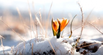 Ни мороза, ни снега, и ни малейшего намека на зиму! Погода в Украине на 24 января
