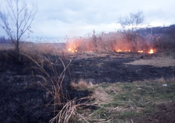 За сутки на Николаевщине шесть раз горел камыш - подозревается поджог