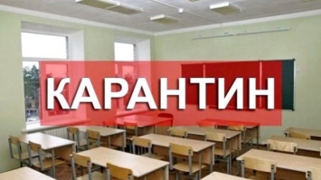 В Бердянске ввели карантин: закроются школы и детсады