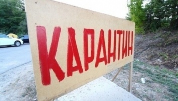 Все школы в Бердянске закрыли на карантин