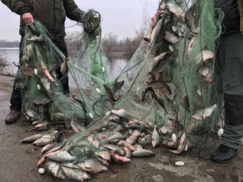 В Мариуполе и поселках открыли охоту на рыбных браконьеров, - ФОТО