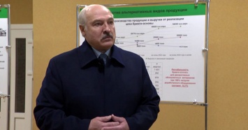 Лукашенко рассказал о "поставленной раком" Беларуси