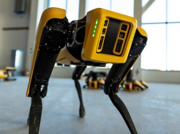 Разрушитель легенд испытал возможности робопса Boston Dynamics