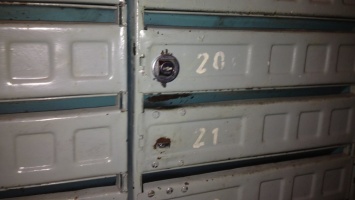 В Днепре кот с побитой мордочкой несколько дней прятался в почтовом ящике