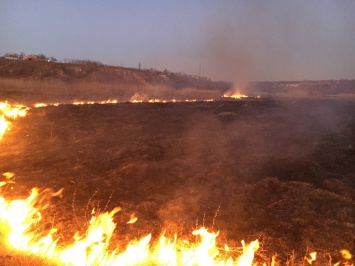 Спасатели Николаевщины за сутки пять раз тушили пожары камыша