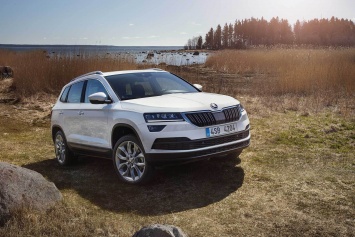 Skoda Karoq в России - новые подробности