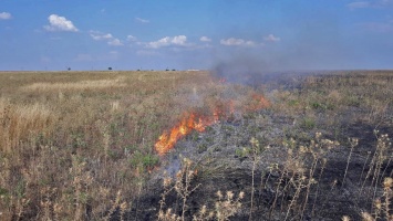 Пожарные ликвидировали возгорание сухой травы в Бахчисарайском районе