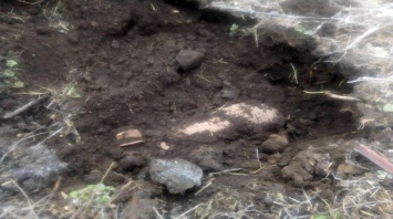 В трех районах Днепропетровщины пиротехники уничтожили устаревшие боеприпасы