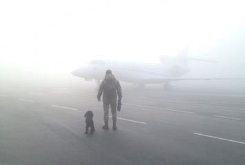 Из-за тумана в Жулянах задерживают и отменяют рейсы