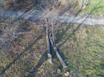Кому-то не спится: на территории санатория Лермонтовский по ночам пилят деревья