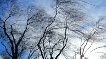 В Никополе объявили штормовое предупреждение из-за шквального ветра