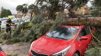 Чехию накрыл ураган: обесточено 15 тысяч домов, повалены десятки деревьев. Фото