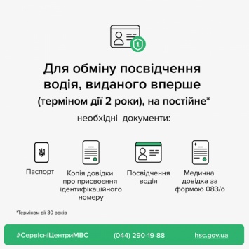 В прошлом году на дорогах области появилось более восьми тысяч водителей-новичков