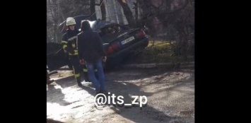 «Ауди» влетело в дерево, сбив насмерть пешехода в Запорожье