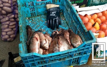 Под Днепром ликвидировали незаконные точки продажи рыбы