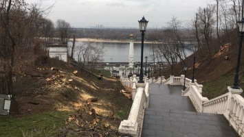 Кто и зачем массово вырубил деревья возле Владимирской горки в Киеве