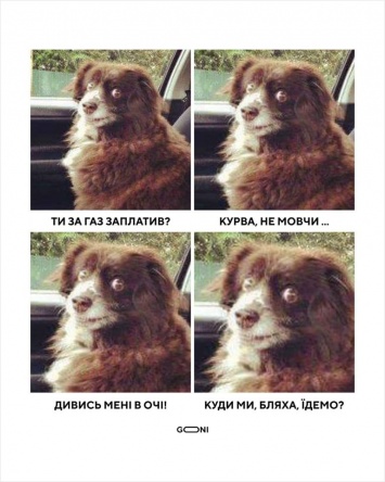 Собака за коммуналку: украинцы ответили "Слуге народа" волной мемов. ФОТО