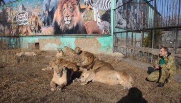 "Суд" в Крыму арестовал владельца парка львов, который поддерживал оккупацию