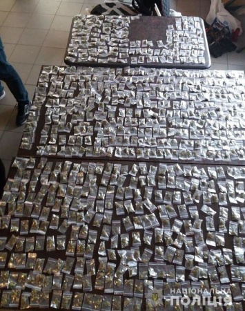 Запорожские наркоторговцы получали ежемесячно около 2 миллионов гривен - им грозит 12 лет лишения свободы