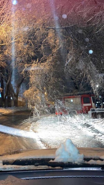 Непогода в Днепре: повалены деревья, обесточены дома