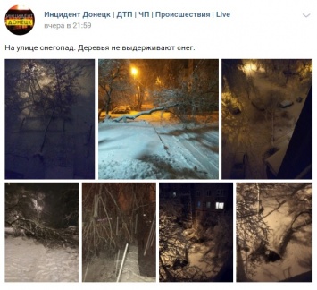 Непогода в Донецке: снег обрушил деревья, движение затруднено