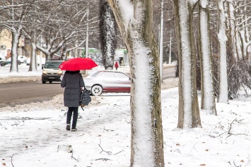 Первый снег в Одессе: красота и чистые дороги