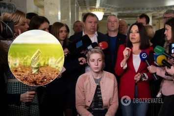 ''Латиноамериканский базар, а не цивилизованный рынок!'' Сюмар предостерегла от распродажи земли