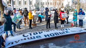 "Друзья не продаются": жители Днепра вышли с собаками на митинг в защиту животных