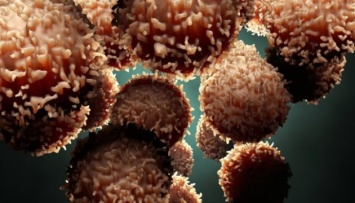 Ученые "расшифровали" раковые клетки - исследование длилось более 10 лет