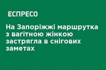 На Запорожье маршрутка с беременной женщиной застряла в снежных сугробах