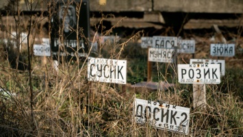 Где и как законно похоронить домашнего питомца в Киеве
