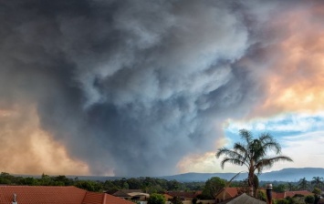 Сильнейший ливень потушил масштабные пожары в Австралии
