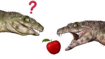 Ученых удивили предки-вегетарианцы современного крокодила