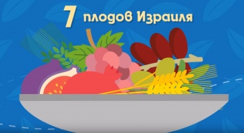 У евреев Ту би-шват, а у православных именины у Дмитрия, Ивана и Петра! Праздники Украины и мира 10 февраля 2020 года