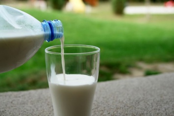В Украине упало производство молочной продукции