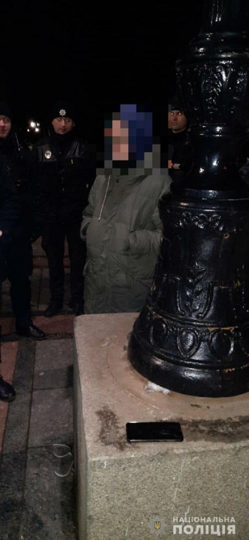 Под Радой задержали вандала, который облил зеленкой памятник Ватунину. Фото