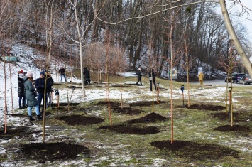 Новый год деревьев. В Киеве появился яблоневый сад по случаю еврейского праздника