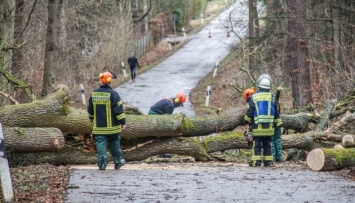Ураган "Сабина" в Германии валит деревья и срывает крыши, есть жертвы