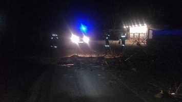 Белогорские спасатели расчистили дорогу, на которую упало дерево