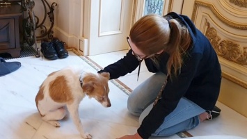 Новые подробности о слепой собаке из Никополя, которую выхаживает телеведущая Оксана Марченко