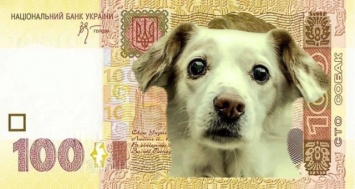 «Собак продали, теперь почки продавать?»: николаевцам пришли платежки за январь