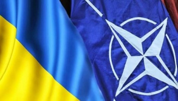Министр обороны Украины обсудит в НАТО ход реформ