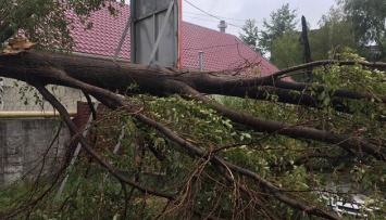 Сильный ветер на Прикарпатье повредил кровли школ, амбулаторий и сельсоветов