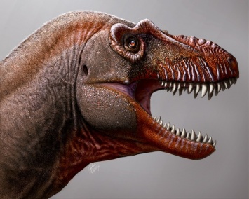 Новый вид тираннозавра получил название "Жнец смерти"