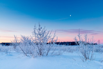 13 февраля: какой сегодня праздник и чего нельзя делать